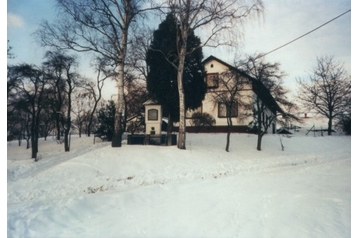 Počitniška hiša Čestice 14